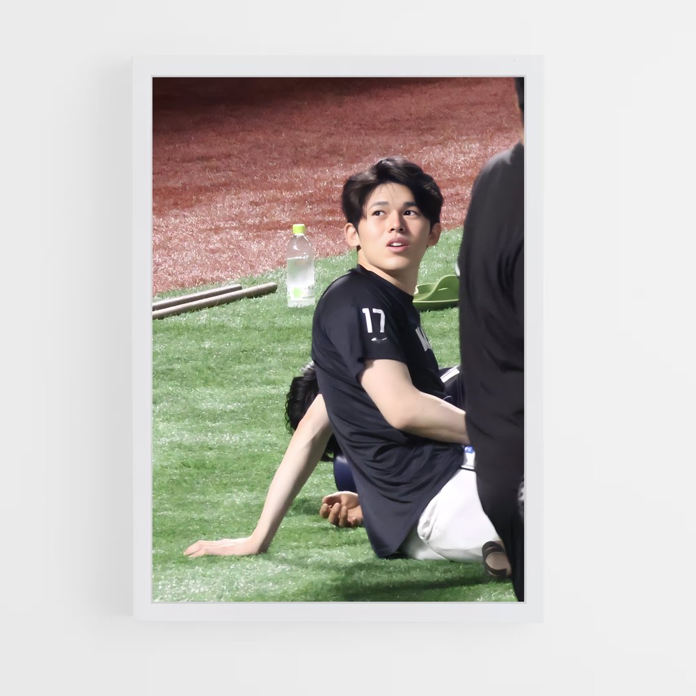 Poster L'Écho du Sol – affiche Baseball (vue 3)